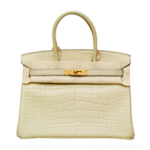 Birkin 30 Trench Matte Alligator GHW