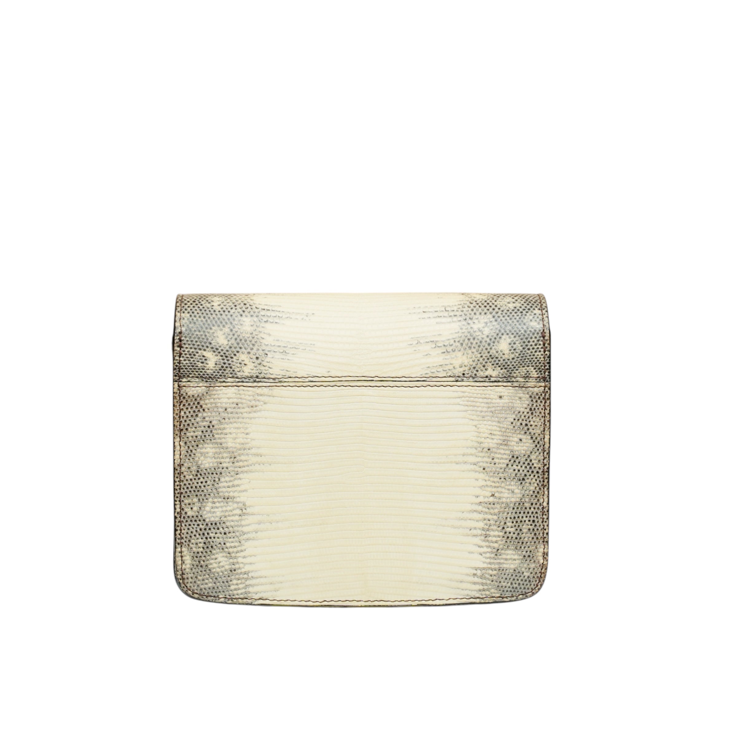 Mini Lizard Classic Box Flap