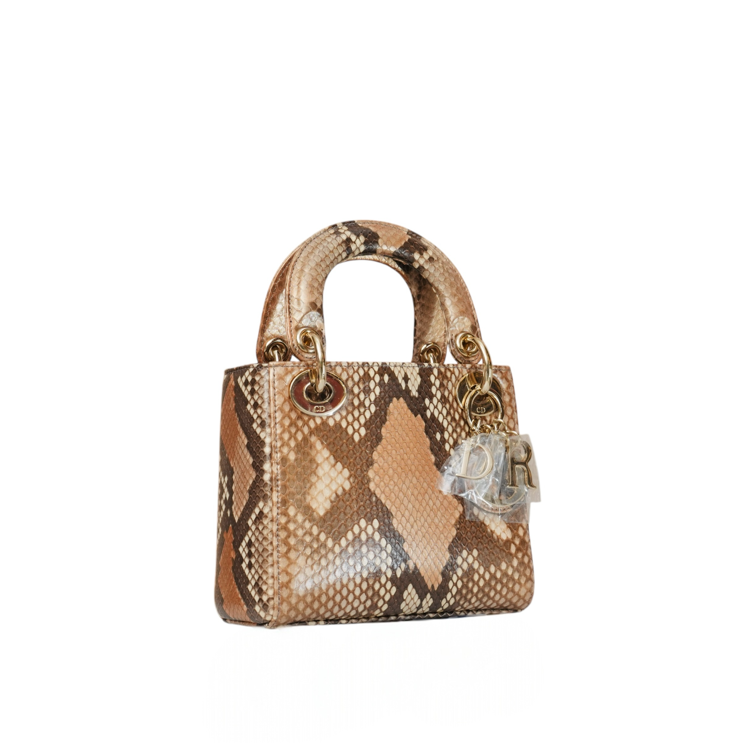Mini Snakeskin Multicolor Bag