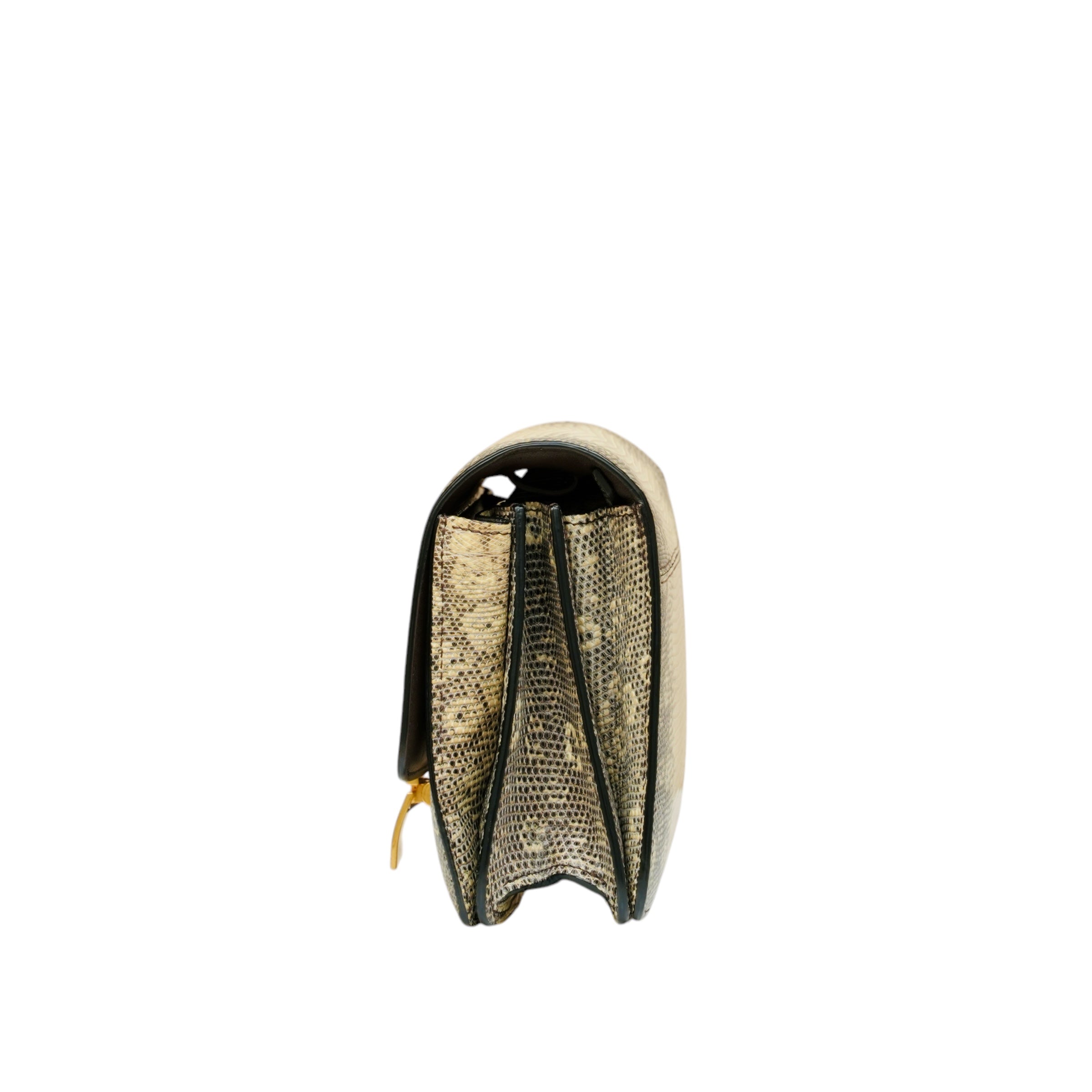 Mini Lizard Classic Box Flap