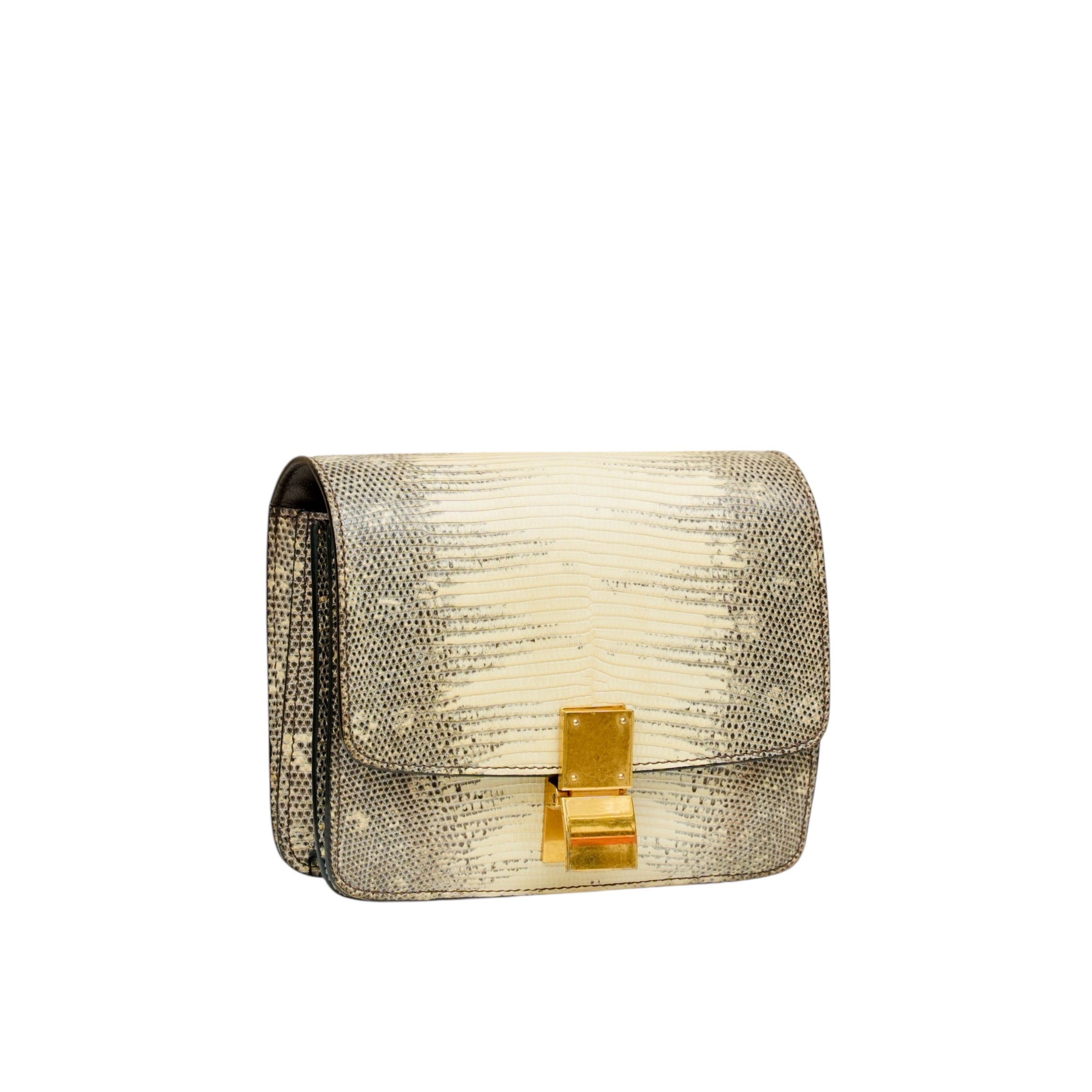 Mini Lizard Classic Box Flap