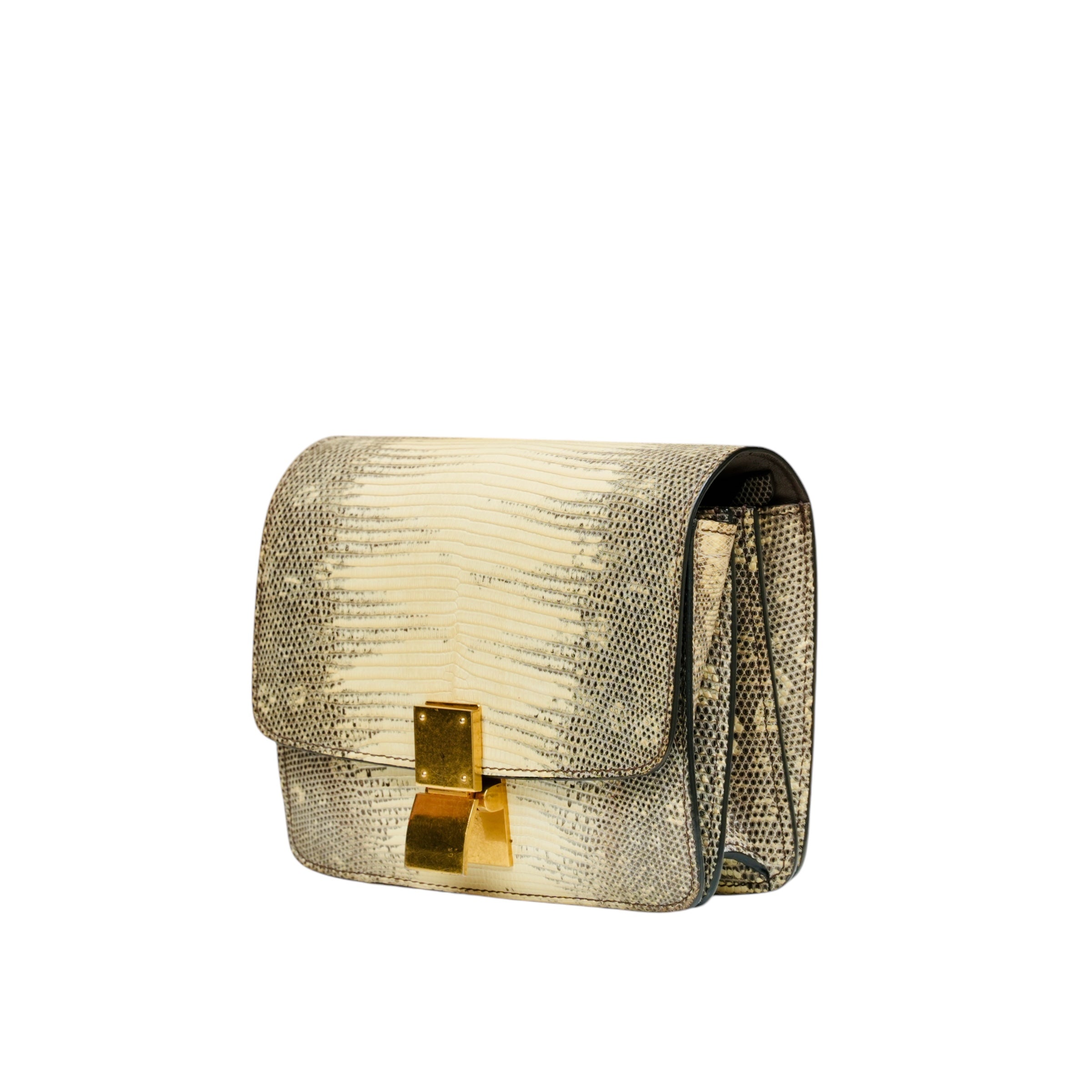 Mini Lizard Classic Box Flap